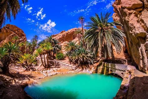 The Mountain Oasis of Chebika in 2022 | Tunisia, Tourist places, Oasis