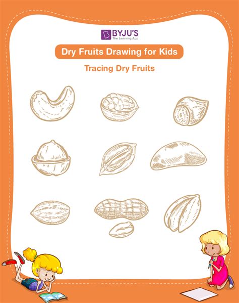 Dry Fruits Drawing for Kids | Easy Dry Fruits Drawing for Kids PDF