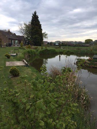 Longacre Fishery (Tansley) - 2019 All You Need to Know Before You Go (with Photos) - Tansley ...