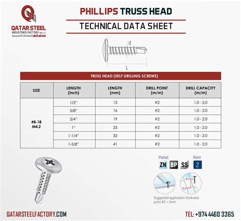 Phillips Truss Head Self Drilling Screws For Sale