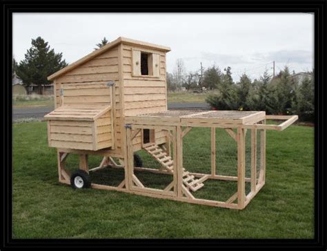 Bertia lanhe: 5 x 6 chicken coop plans free