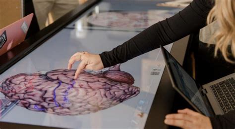 Crean College Introduces Interdisciplinary Neuroscience Minor - Instruction Begins in Fall 2020 ...