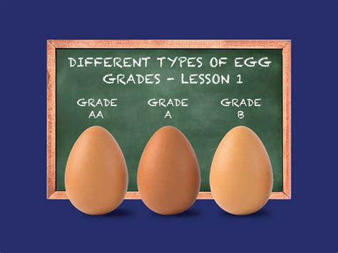 Egg Grades 101 | What Do Egg Grades Mean?