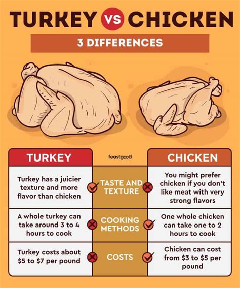 Turkey vs. Chicken: Pros, Cons, Differences, & Which Is Better ...