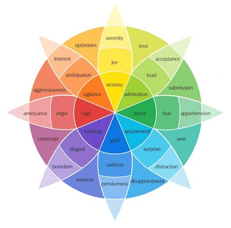 The Emotion Wheel: Primary Emotions, Benefits & How To Use It!