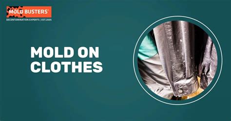 Ultimate Guide to Mold on Clothes: Prevention, Identification, and Removal