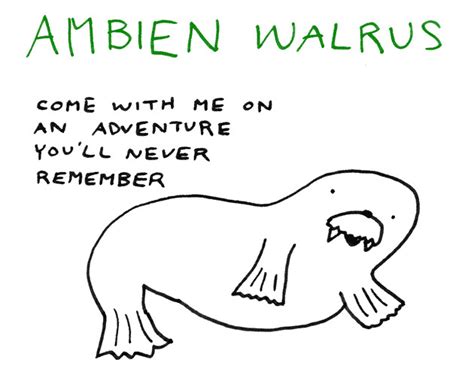 Ambien Walrus | Rachel Anna | Flickr