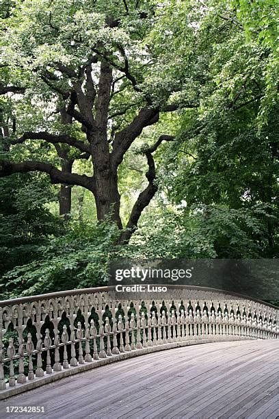 2,102 Central Park Bridges Stock Photos, High-Res Pictures, and Images ...