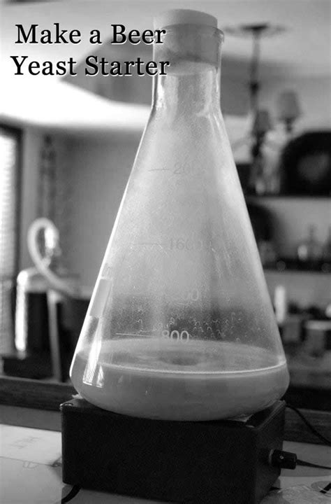 How to Make a Beer Yeast Starter | Yeast starter, Yeast, Beer