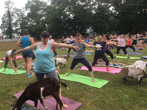 Just kidding around! Smithtown Historical Society offers yoga … with goats! | TBR News Media