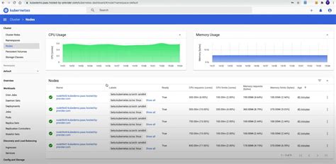 Previder | Prometheus en Grafana Kubernetes dashboard