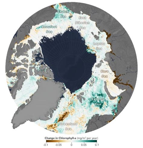 Phytoplankton blooms on the rise across Arctic Ocean - The Watchers