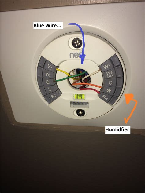 Blue common wire for continuous Nest thermostat power : Nest