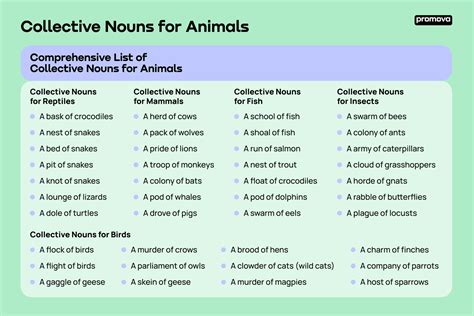 Collective nouns for animals collective nouns birds - easere