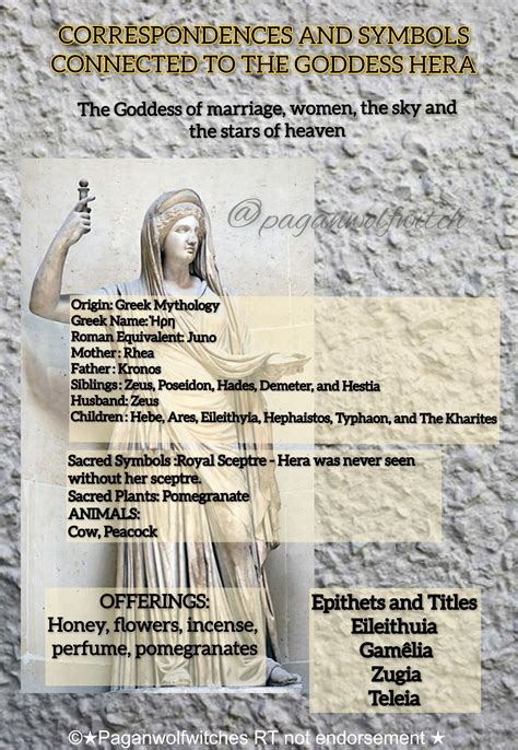 Symbols and Meanings of the Greek Goddess Hera