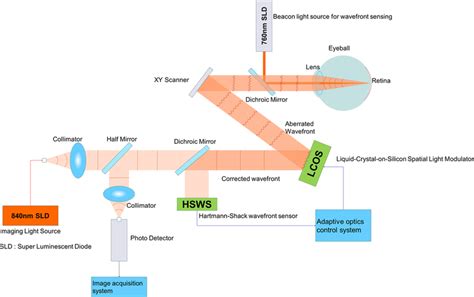 Schematic of adaptive optics scanning laser ophthalmoscopy. A spatial... | Download Scientific ...