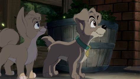 *ANGEL & SCAMP, Lady and the Tramp II: Scamp's Adventure, 2001 | Lady and the tramp, Disney ...