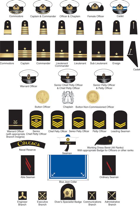 Navy Military Ranks And Insignia