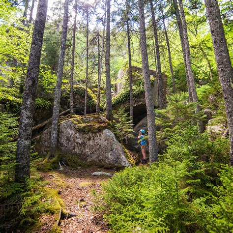 Acadia National Park | Wildlife and Wild Lands