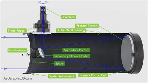 Newtonian Telescope Infographic Diagram 3D Model