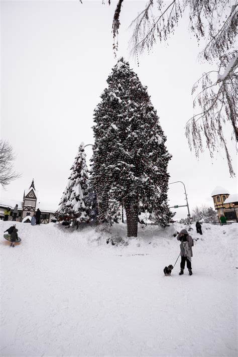 How to Spend a Magical Christmas in Leavenworth - Oceanus Adventure