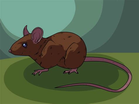 3 Ways to Draw a Mouse - wikiHow