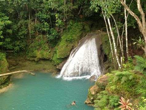 The Blue Hole, Jamaica - a waterfall with lagoon, unknown to most tourists... | Places to see ...