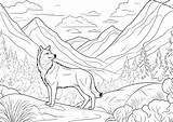 Free Arctic Wolf Coloring Pages sketch template