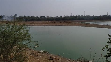 Chennai’s Chitlapakkam lake revival model holds key to fight water crisis | Chennai News - The ...