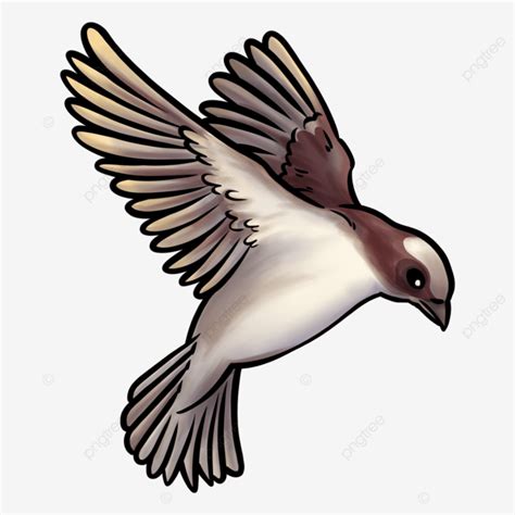 Brown Bird Flying Sparrow With Two Wings Flapping, Bird, Brown, Sparrow ...