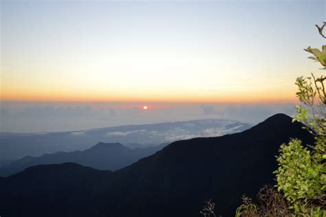 Blue Mountain Peak Hike - Blue and John Crow Mountains National Park