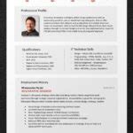 Resume Templates Buy (8) - TEMPLATES EXAMPLE | TEMPLATES EXAMPLE
