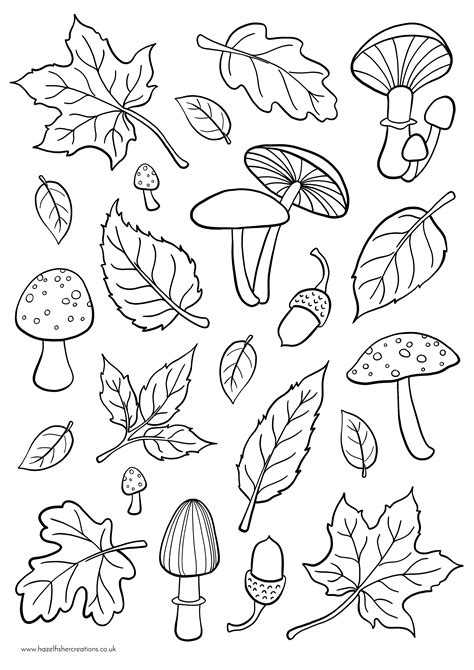 Autumn Animals Coloring Page Coloring Pages