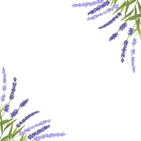 Lavender Watercolor Flowers PNG Image, Watercolor Lavender Flower Border, Border, Lavender ...