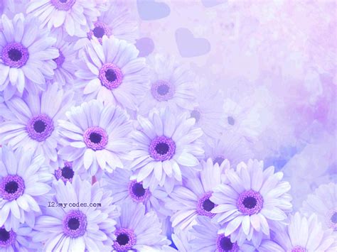 🔥 Free download flowers for background [1024x768] for your Desktop, Mobile & Tablet | Explore 76 ...