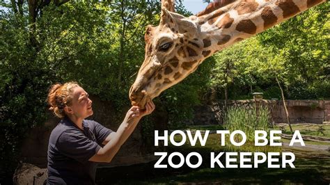 How to be a zoo keeper - YouTube