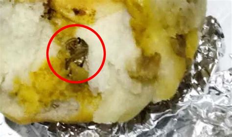 Cockroach in Air India meal: Other instances where the airline faced flak due to unhealthy meals ...