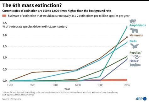 Wildlife 'Red List' a grim tally of extinction threat