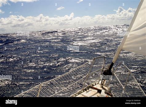 Sargasso Sea And Bermuda Triangle