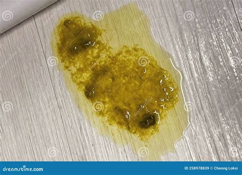 Close Up of Fresh Cat Vomit with Hairball on Wooden Surface Stock Image - Image of domestic ...