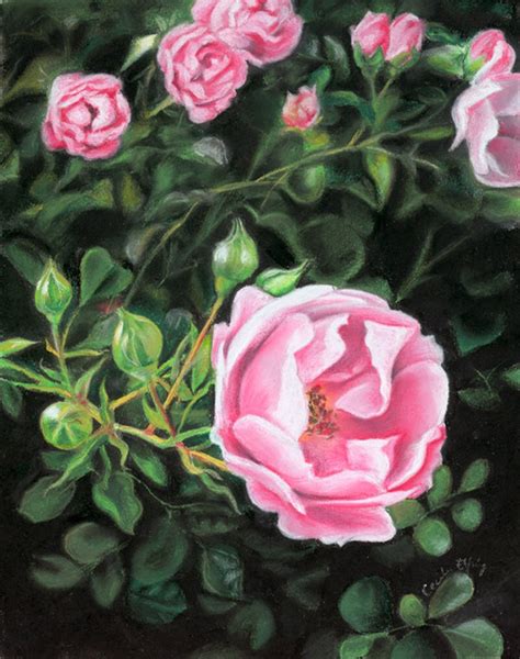 Art Print Roses Part 1, Pastel Drawing, 13 X 18 Cm, Flowers, Art ...