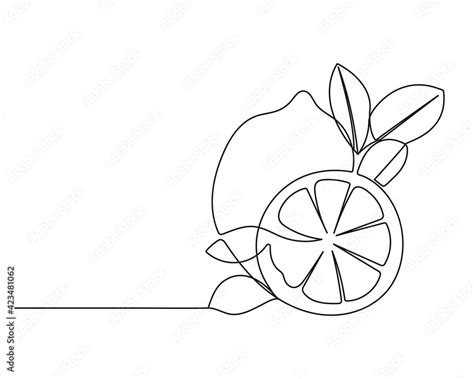 Lemon with Leaves Continuous One Line Drawing. Black Line Fruit Sketch on White Background ...