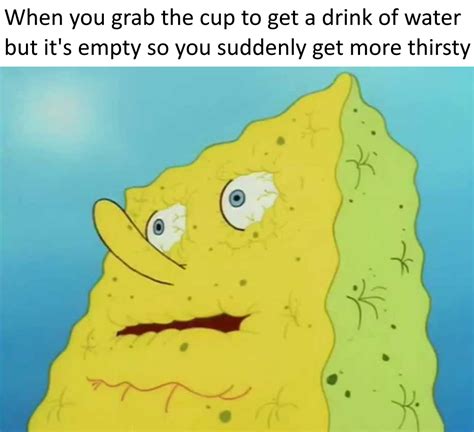 Please I just wanted water | /r/BikiniBottomTwitter | SpongeBob SquarePants | Know Your Meme