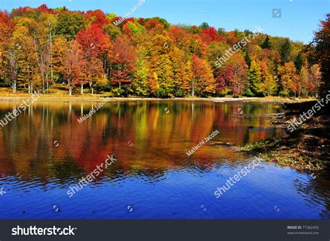 Fall Color Summit Lake Monongahela National Stock Photo 71362456 ...