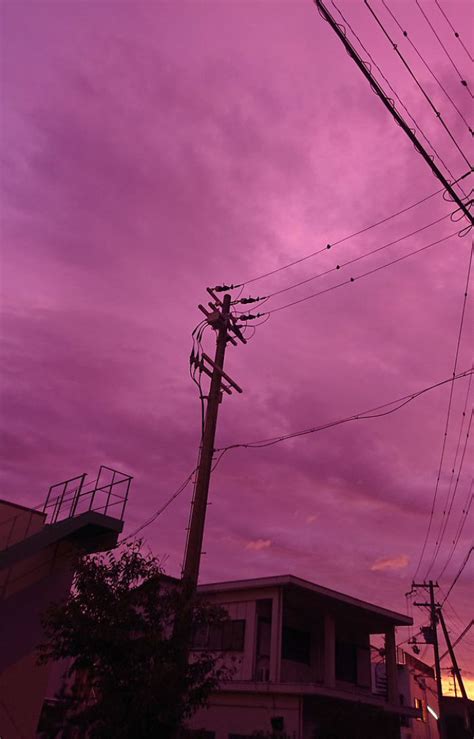 People In Japan Were Admiring The Incredibly Purple Sky, But It’s A ...