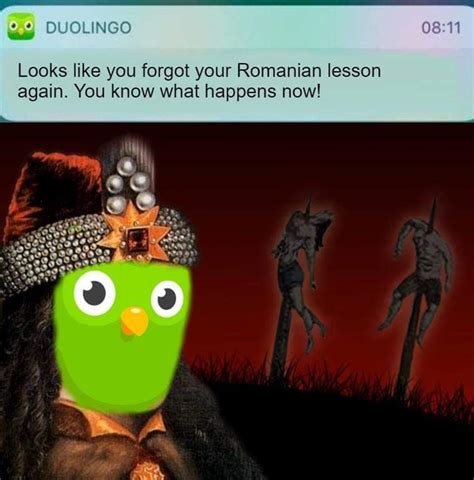 Duolingo : r/HistoryMemes