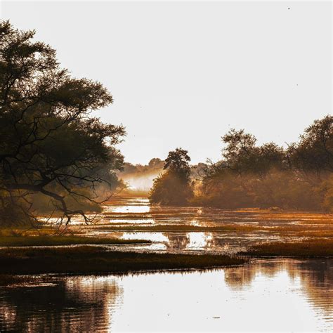 Keoladeo Ghana National Park (Bharatpur) | Bubo Birding