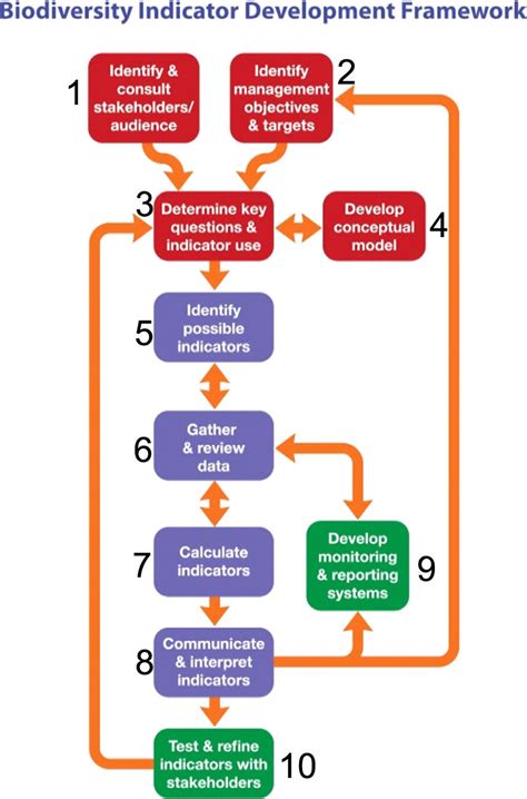 The biodiversity indicator development framework (adapted from ...