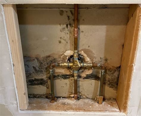 How Mold, a Common Side Effect of Water Damage, Affects Homeowners | Rytech Restoration