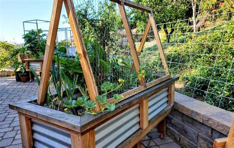 How To Build a Cucumber Trellis for Raised Beds | Kellogg Garden Organics™